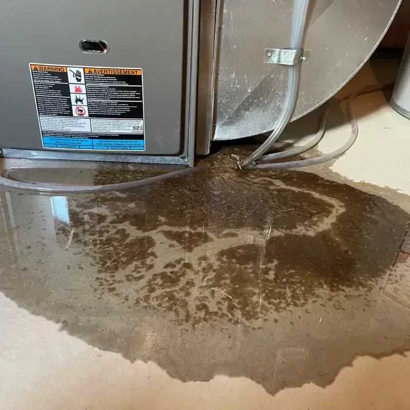 Appliance Leak Cleanup in Carnegie, OK